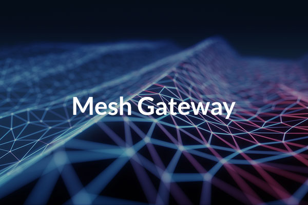 Mesh Gateway