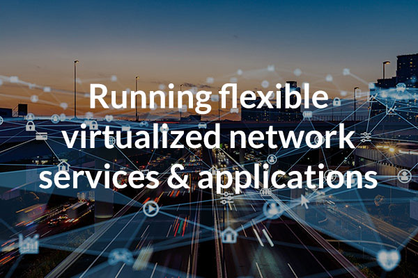Running flexible virtualized network services and applications